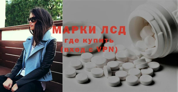 хмурый Абаза