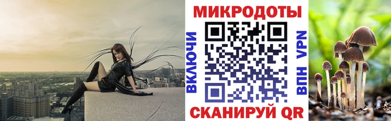 Псилоцибиновые грибы Psilocybine cubensis Дзержинск