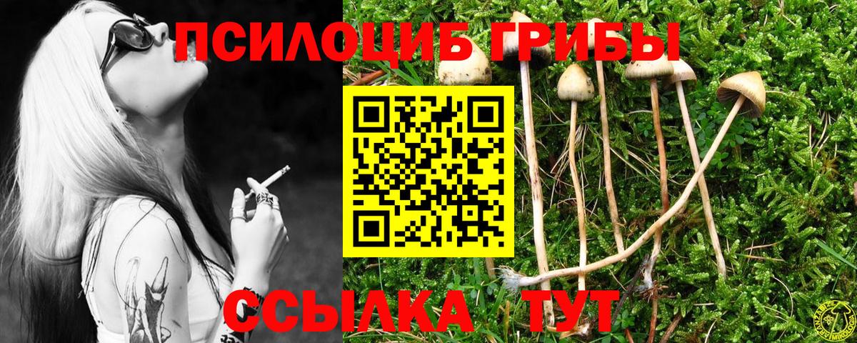 Псилоцибиновые грибы мицелий Дзержинск