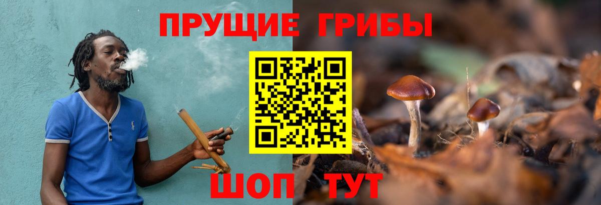 Псилоцибиновые грибы MAGIC MUSHROOMS  Вход с VPN  Дзержинск  Псилоцибиновые грибы мухоморы 